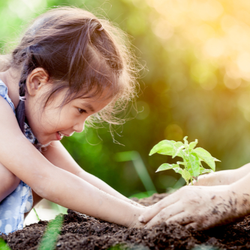 5 Charter Schools Recognized as 2021 Green Ribbon Schools