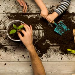 Three Charter Schools Honored as 2020 U.S. Department of Education Green Ribbon Schools