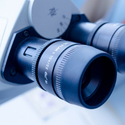 Great Minds®: With PhD Science™, Foundational Knowledge Is Fundamental