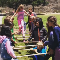 The Holistic Approach of the Waldorf Education Model