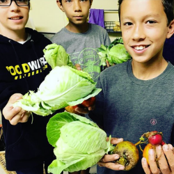 How This Charter School Applies the Holistic Waldorf Education Model