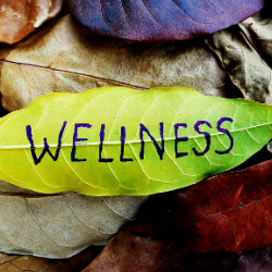 Uplifting Stories from the Charter Community XXI