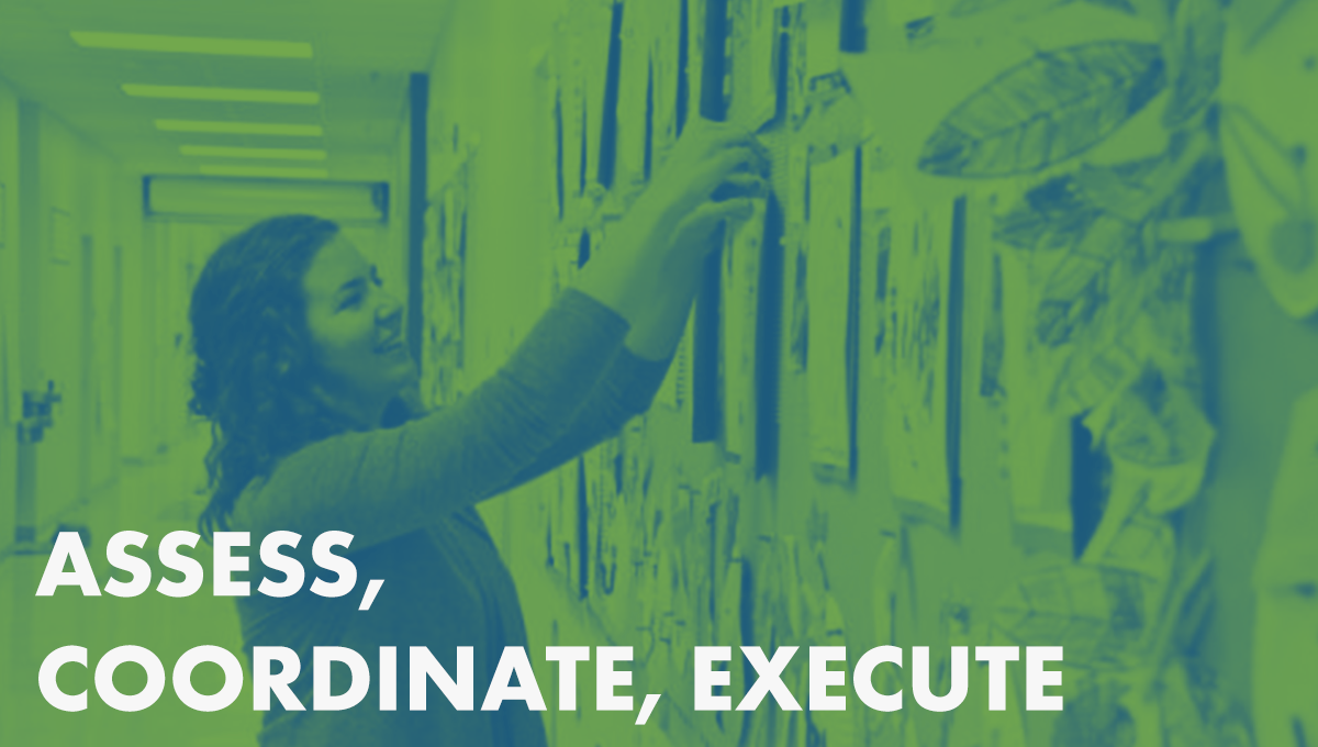 Assess, Coordinate, Execute: How to ACE an Executive Director Search