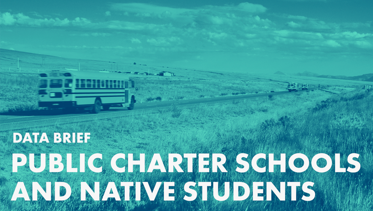 Public Charter Schools and Native Students: Details from the National Alliance Data