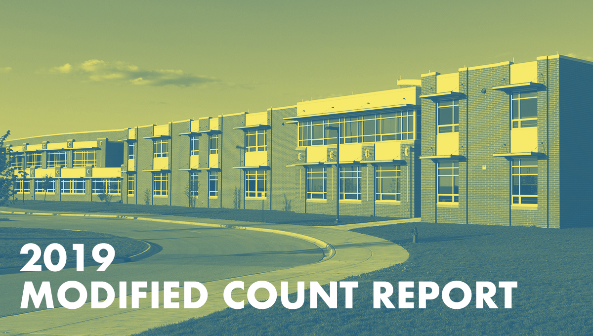 2019 Modified Count Report